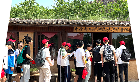 多元化项目规划
